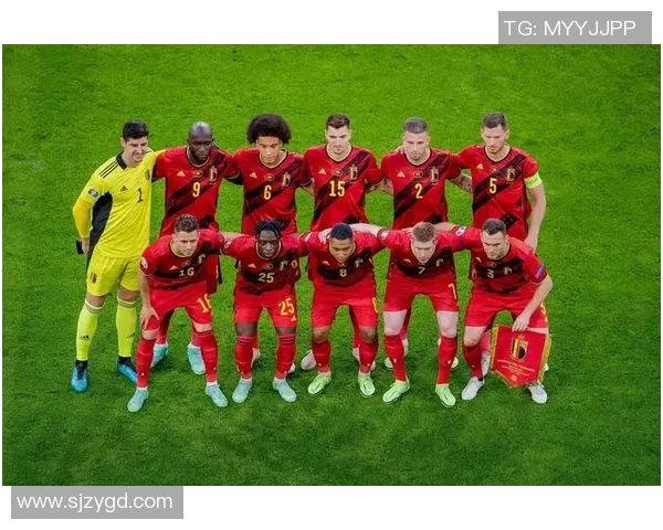 2018世界杯经典对决西班牙与比利时的激烈较量与精彩瞬间回顾